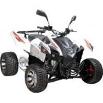 Adly ATV 320 Supermoto bis 2011