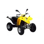 Adly ATV 50 RS (XXL) AC - Bj. 2005 - 2008
