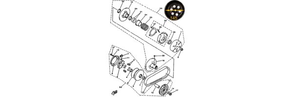 VARIATOR  / KUPPLUNGSVERSION MIT FLASH BRAKE