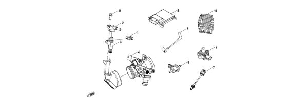 E17 - Motorelektronik