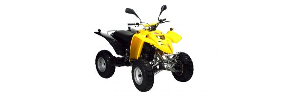 Adly ATV 50 RS (XXL) AC - Bj. 2009 - 2010