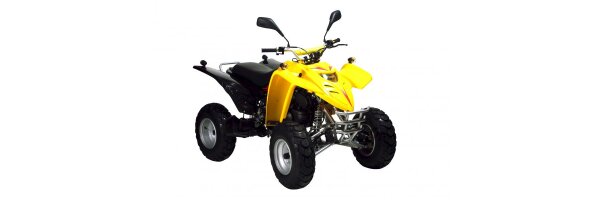 Adly ATV 50 RS (XXL) AC - Bj. 2009 - 2010