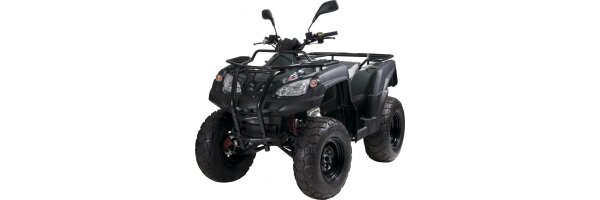 Adly ATV 320 Canyon 2012