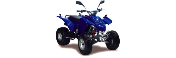 Adly ATV 300 Sport - ab Bj 2004