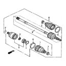 POS.06 - GROSSE KRAGEN FUER SOUFFLET - LINHAI 510IS EPS...