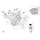 Pos.06 - Dichtring Kupfer 14x21 - CFMOTO CForce 450 XL EPS