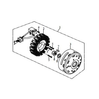 Pos. 01  - Lichtmaschine kpl. 1 - Triton Recator 450 Supermoto