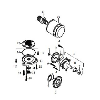 Pos. 02  - Zahnrad - oelpumpenantrieb 1 - Triton Recator 450 Supermoto
